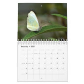 Fotos der Natur Kalender (Feb 2027)