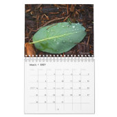 Fotos der Natur Kalender (Mär 2027)