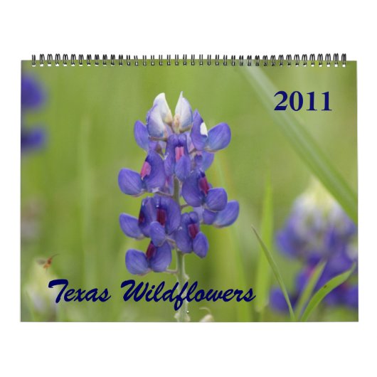 Fotos der Wildblumen Nordtexas Kalender (Titelbild)