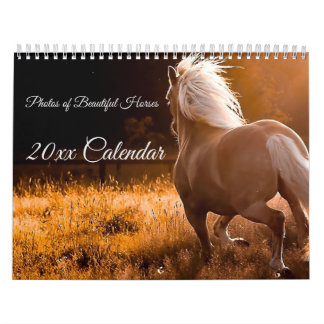 Fotos des schönen Pferdekalenders Kalender