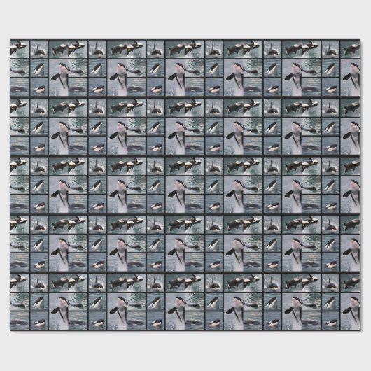 Fotos, die mehrere Killerwale-Poster haben Geschenkpapier (Flach)