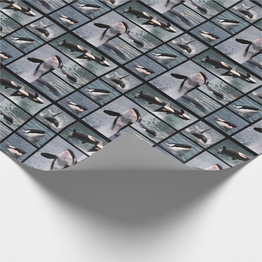 Fotos, die mehrere Killerwale-Poster haben Geschenkpapier (Ecke)