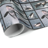 Fotos, die mehrere Killerwale-Poster haben Geschenkpapier (Rolleneckpunkt)