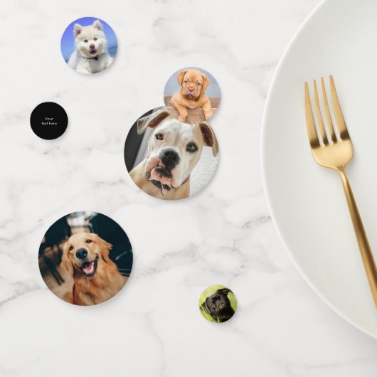 Fotos für Hunde Konfetti (Gruppe)