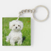 FOTOS IHRES Begleiters Himmlisch Memorial Schlüsselanhänger (Rückseite)