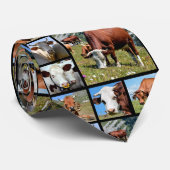 Fotos Krawatte (Gerollt)