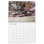 Fotos meines Weltkalenders Kalender (Mär 2027)