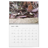 Fotos meines Weltkalenders Kalender (Mär 2026)