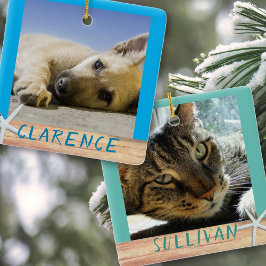 Fotos mit doppelseitiger Haustiere Starfish Kerami Keramikornament