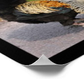 Fotos, Mosaik von Heuern und Hennen Poster (Ecke)