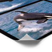 Fotos Mosaik von Killerwalen Poster (Ecke)