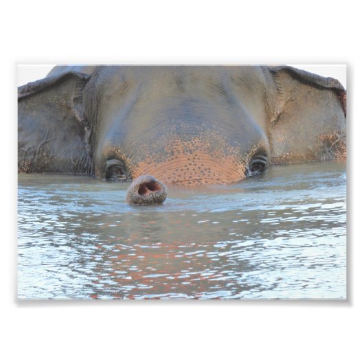 Fotos: Naturfotografie und Naturfotografie Fotodruck (Vorne)