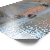 Fotos: Naturfotografie und Naturfotografie Fotodruck (Ecke)