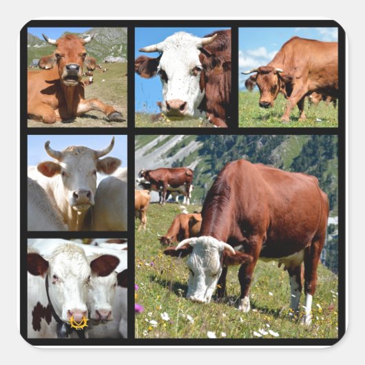 Fotos Quadratischer Aufkleber (Vorderseite)