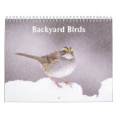 Fotos und Kunst im Hinterhof Kalender (Titelbild)