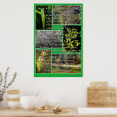 Fotos und Psalm 86:1-7 Poster (Küche)