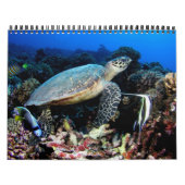 Fotos unter Wasser 2015 Kalender (Titelbild)