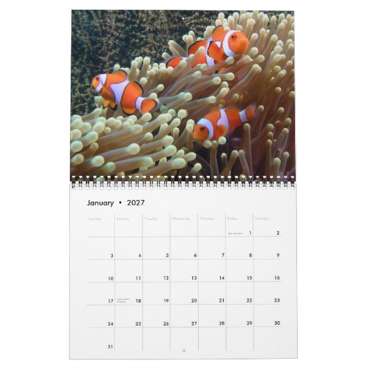 Fotos unter Wasser 2015 Kalender (Jan 2027)