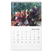 Fotos von Chloes Kunststudio Garten, 2026 Kalender (Feb 2026)