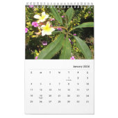 Fotos von Chloes Kunststudio Garten, 2026 Kalender (Jan 2026)