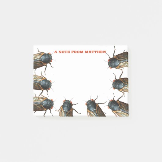 Fotos von Cicadas-Bug, Personalisierte Insekten Post-it Klebezettel (Vorderseite)