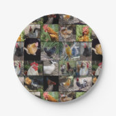 Fotos von Hühnern und Rostern, Pappteller (Vorderseite)