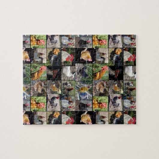 Fotos von Hühnern und Rostern, Puzzle (Horizontal)