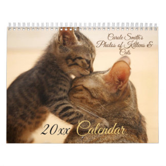Fotos von Katzen & Kätzchen 20XX Kalender