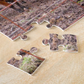 Fotos von Minnesota Calves. Puzzle (Seite)