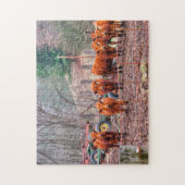 Fotos von Minnesota Calves. Puzzle (Vertikal)