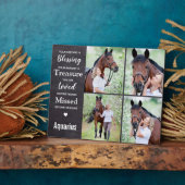 Fotosammlung zu Pferden Fotoplatte (Seite)