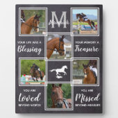 Fotosammlung zu Pferden Fotoplatte (Vorderseite)