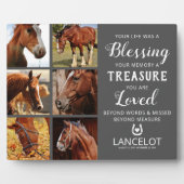 Fotosammlung zu Pferden Fotoplatte (Vorderseite)