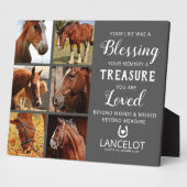 Fotosammlung zu Pferden Fotoplatte (Seite)