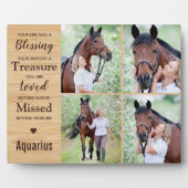 Fotosammlung zu Pferden Fotoplatte (Vorderseite)