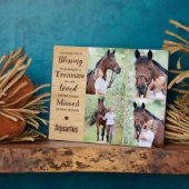 Fotosammlung zu Pferden Fotoplatte (Seite)