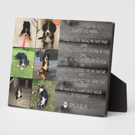 Fotosammlung zum Thema "Gedächtnistraining für Eri Fotoplatte (Seite)