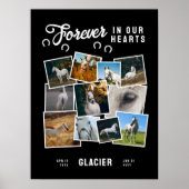 Fotosammlungen für immer in unserem Herz-Pferd-Ged Poster (Vorne)