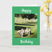 FOTOSHEED SAY **HAPPY BIRTHDAY" KARTE (Gelbe Blume)