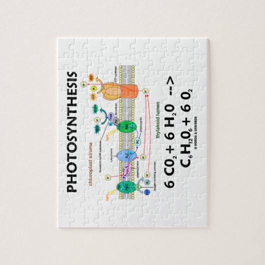 Fotosynthese (chemische Formel lichtabhängig) Puzzle (Vertikal)