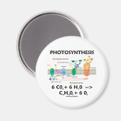 Fotosynthese (Chemische Formel) Magnet (Vorderseite/Rückseite)