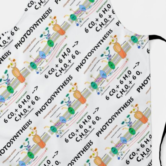 Fotosynthese Chloroplast Chemische Formel Schürze