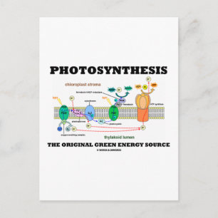 Fotosynthese der ursprünglichen grünen Energiequel Postkarte