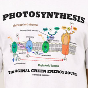 Fotosynthese der ursprünglichen grünen Energiequel T-Shirt