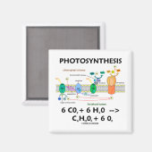 Fotosynthese (Kohlendioxid + Wasser) Magnet (Vorderseite/Rückseite)