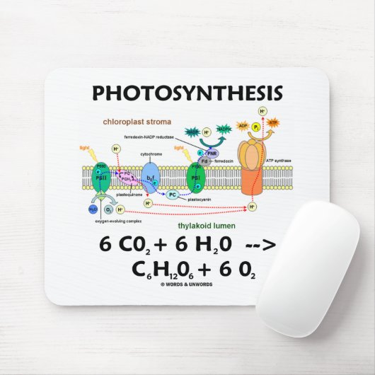 Fotosynthese (Kohlendioxid + Wasser) Mousepad (Mit Mouse)