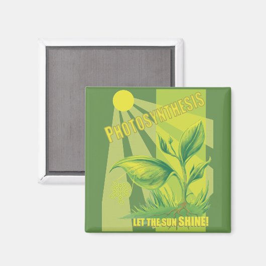 Fotosynthese Magnet (Vorderseite/Rückseite)