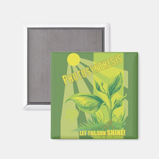 Fotosynthese Magnet (Vorderseite/Rückseite)