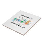 Fotosynthese notwendig für das Leben lichtabhängig Fliese (Seite)