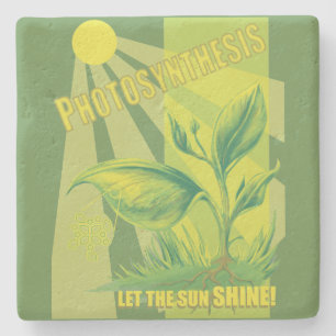 Fotosynthese Steinuntersetzer